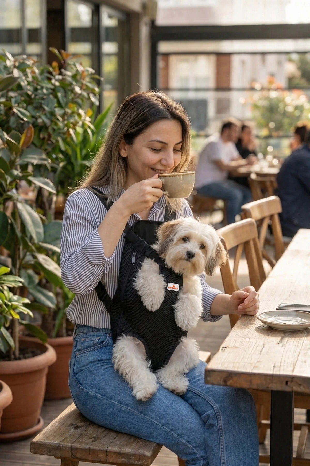 Kedi Taşıma Çantası